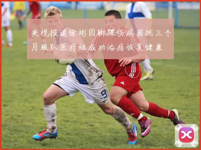 央视报道徐彬因脚踝伤病困扰三个月狼队医疗组成功治疗恢复健康