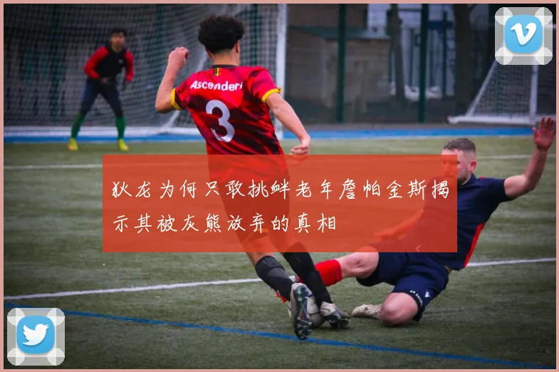狄龙为何只敢挑衅老年詹帕金斯揭示其被灰熊放弃的真相