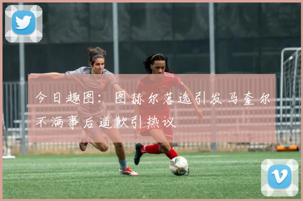 今日趣图：图赫尔落选引发马奎尔不满事后道歉引热议