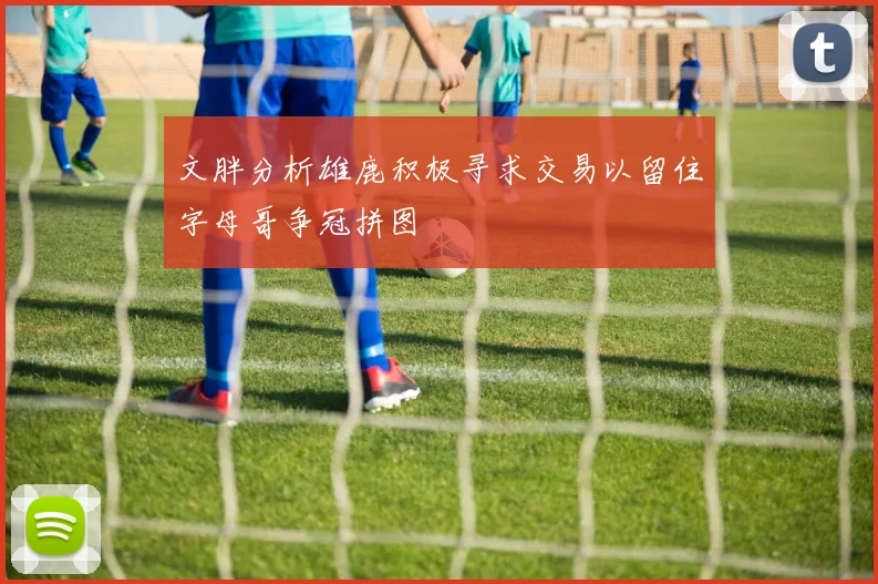 文胖分析雄鹿积极寻求交易以留住字母哥争冠拼图
