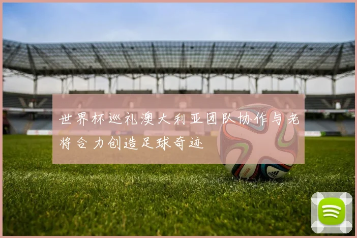 世界杯巡礼澳大利亚团队协作与老将合力创造足球奇迹